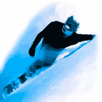 Snowboard wrist guard webshop link